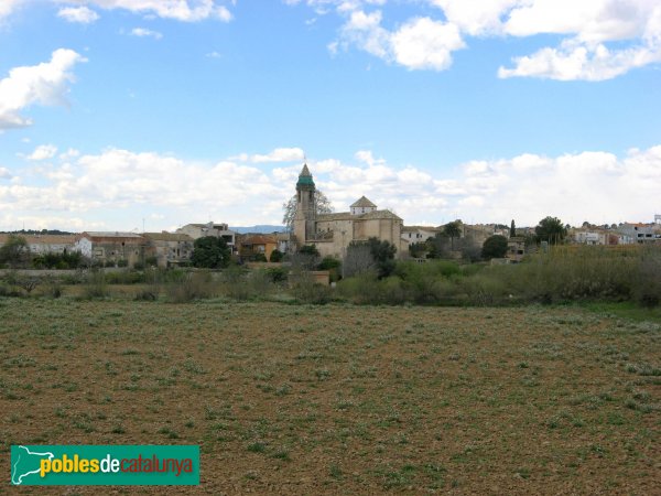 La Riera de Gaià - Santa Margarida (Foto: Albert Esteves, 2008) La Riera de Gaià - Santa Margarida