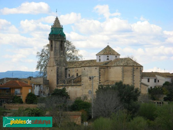 La Riera de Gaià - Santa Margarida (Foto: Albert Esteves, 2008) La Riera de Gaià - Santa Margarida