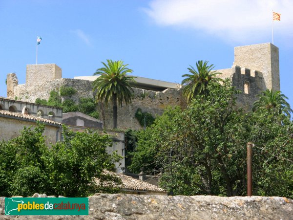 El Catllar - Castell (Foto: Albert Esteves, 2008) El Catllar - Castell
