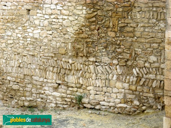 El Catllar - Castell (Foto: Albert Esteves, 2008) El Catllar - Castell