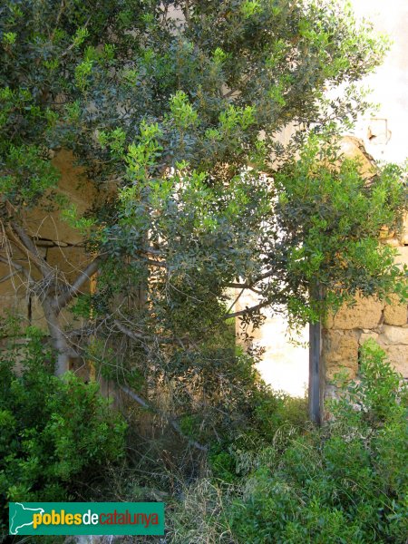 Tarragona - Mas de l'Hereuet, porta (Foto: Albert Esteves, 2008) Tarragona - Mas de l'Hereuet, porta