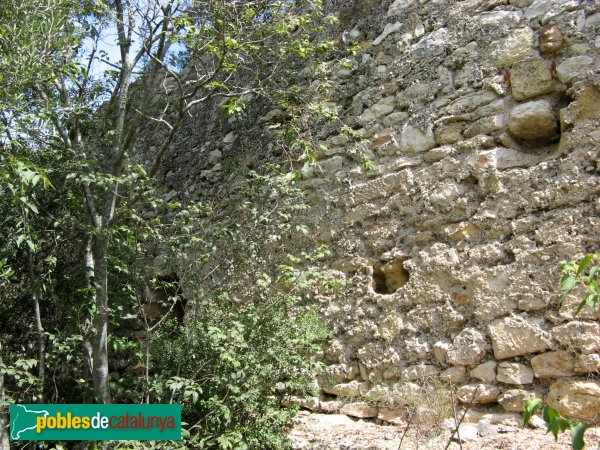 La Canonja - Castell dels Montgons