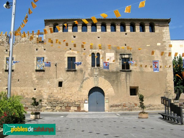 La Canonja - Castell de Masricard, abans de la restauració (Foto: Albert Esteves, 2008) La Canonja - Castell de Masricard, abans de la restauració
