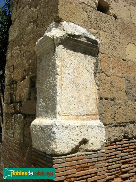 La Canonja - Castell de Masricard (Foto: Albert Esteves, 2008) La Canonja - Castell de Masricard