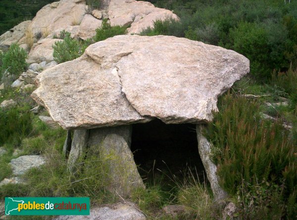 Palau-Saverdera - Dolmen de la Muntanya d'en Caselles