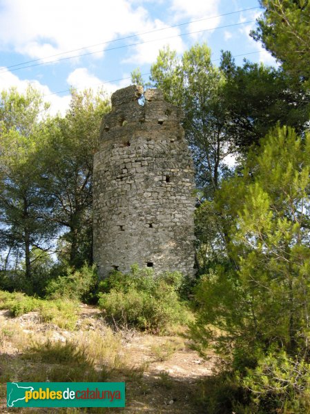 Riera de Gaià - Torre de l'Abella (Foto: Albert Esteves, 2007)