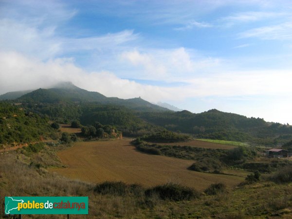 El Bruc - Sant Pau de la Guàrdia, camps de conreu