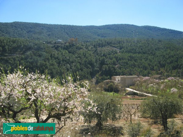 Orpí - Santa Càndia (Foto: Albert Esteves, 2009) Orpí - Santa Càndia