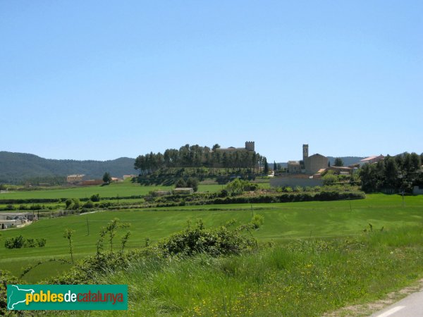 Sant Martí de Tous - Castell i església