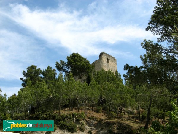 Santa Margarida de Montbui - Castell de Montbui (Foto: Albert Esteves, 2009) Santa Margarida de Montbui - Castell de Montbui