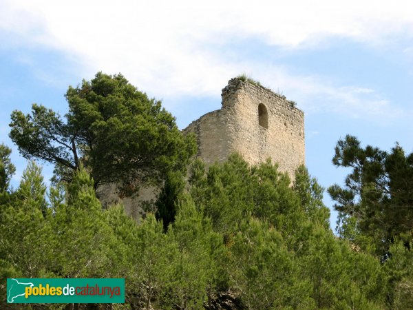 Santa Margarida de Montbui - Castell de Montbui (Foto: Albert Esteves, 2009) Santa Margarida de Montbui - Castell de Montbui
