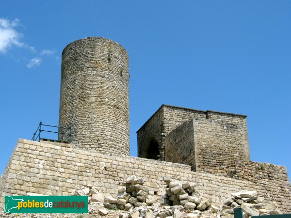 Sant Pere Sallavinera - Castell de Boixadors