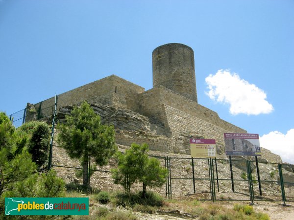 Sant Pere Sallavinera - Castell de Boixadors