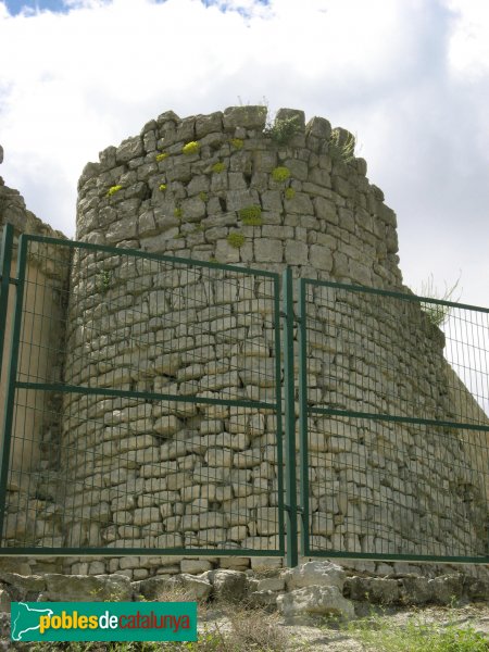 Sant Pere Sallavinera - Castell de Boixadors