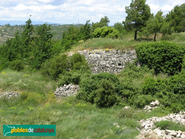 Sant Pere Sallavinera - Castell de Boixadors