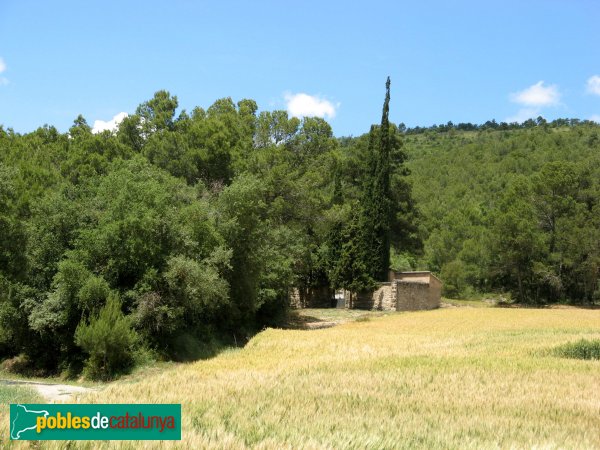 Sant Pere Sallavinera - Cementiri de Boixadors