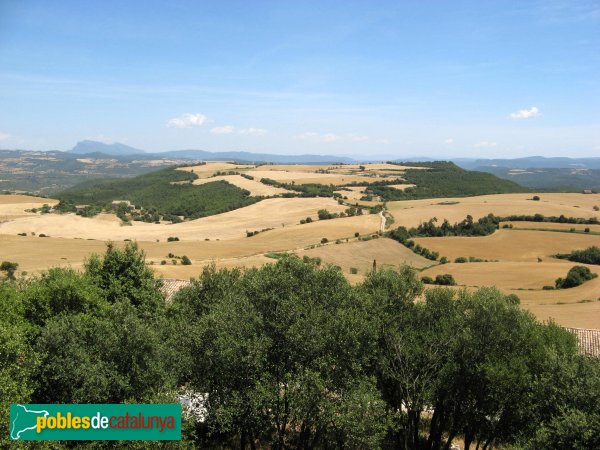 Veciana - Panoràmica des del castell de Montfalcó el Gros (Foto: Albert Esteves, 2009) Veciana - Panoràmica des del castell de Montfalcó el Gros
