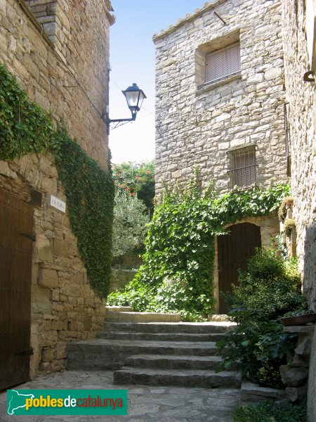 Pujalt - La Guàrdia Pilosa, carreró amb escales (Foto: Albert Esteves, 2009) Pujalt - La Guàrdia Pilosa, carreró amb escales