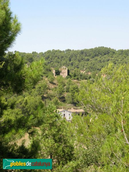 Argençola - Sant Pere de la Goda (Foto: Albert Esteves, 2009) Argençola - Sant Pere de la Goda
