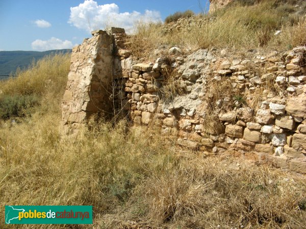 Castell de la Guàrdia dels Prats (Foto: Albert Esteves, 2009) Castell de la Guàrdia dels Prats