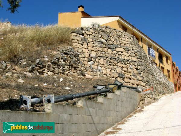 Castell de la Guàrdia dels Prats (Foto: Albert Esteves, 2009) Castell de la Guàrdia dels Prats