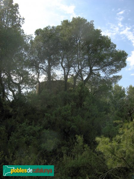 Barberà de la Conca - Torre d'Ambigats