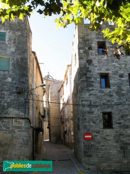Santa Coloma de Queralt - Torres del portal d'en Roca (Foto: Albert Esteves, 2009) Santa Coloma de Queralt - Torres del portal d'en Roca