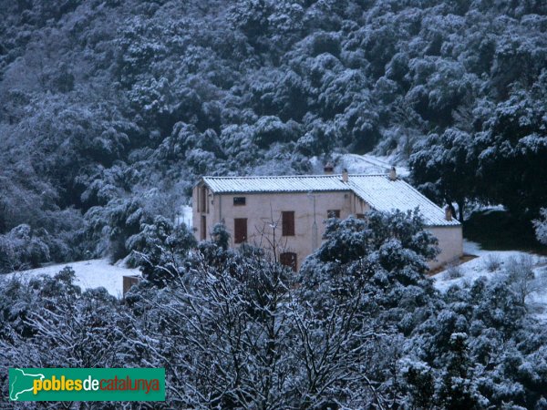 Caldes d'Estrac - Parc de can Muntanyà, nevat