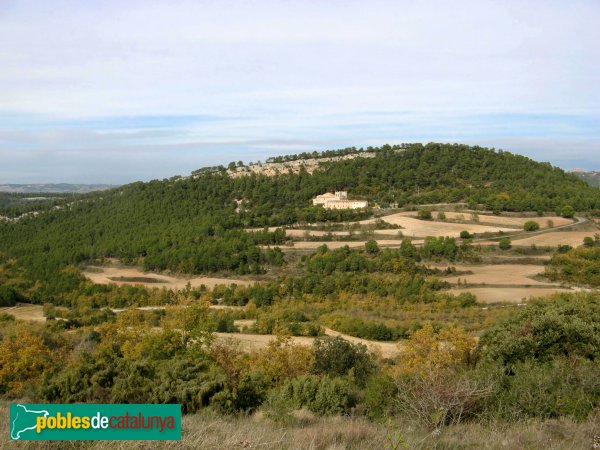 Pontils - Sant Magí de Brufaganya, de lluny