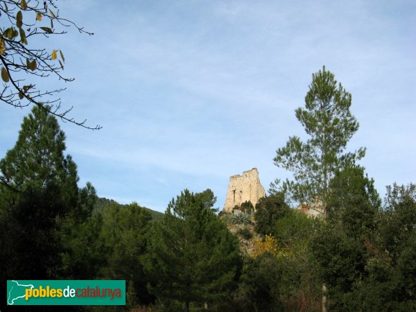 Pontils - Castell de Seguer (Foto: Albert Esteves, 2009) Pontils - Castell de Seguer