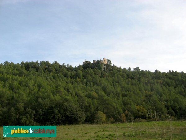 Pontils - Castell i església de Seguer (Foto: Albert Esteves, 2009) Pontils - Castell i església de Seguer