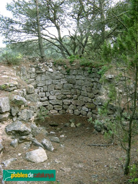 Pontils - Castell de Vallespinosa (Foto: Albert Esteves, 2009) Pontils - Castell de Vallespinosa