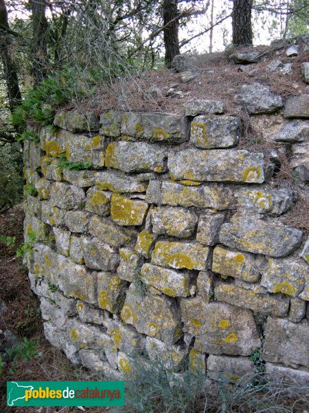 Pontils - Castell de Vallespinosa