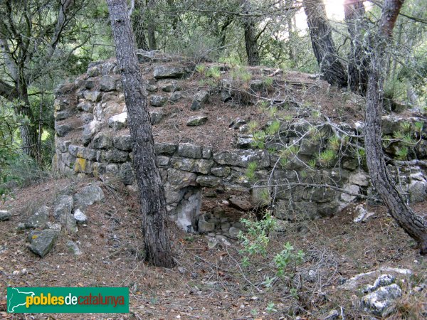 Pontils - Castell de Vallespinosa (Foto: Albert Esteves, 2009) Pontils - Castell de Vallespinosa