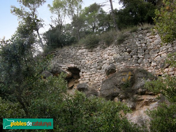Pontils - Castell de Vallespinosa (Foto: Albert Esteves, 2009) Pontils - Castell de Vallespinosa