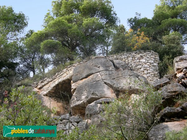 Pontils - Castell de Vallespinosa (Foto: Albert Esteves, 2) Pontils - Castell de Vallespinosa