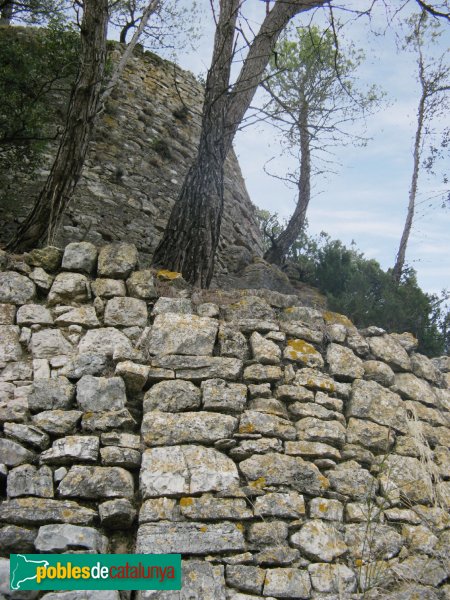 Pontils - Castell de Vallespinosa (Foto: Albert Esteves, 2009) Pontils - Castell de Vallespinosa
