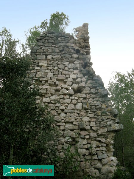 Pontils - Castell de Vallespinosa (Foto: Albert Esteves, 2009) Pontils - Castell de Vallespinosa