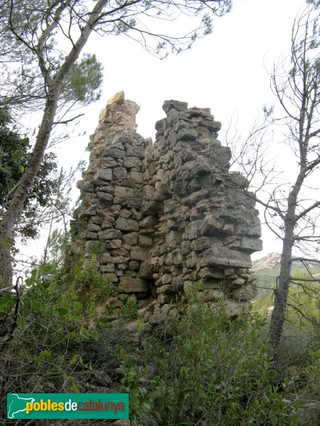 Pontils - Castell de Vallespinosa (Foto: Albert Esteves, 2009) Pontils - Castell de Vallespinosa