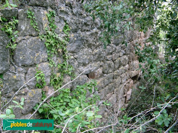 Pontils - Castell de Vallespinosa (Foto: Albert Esteves, 2009) Pontils - Castell de Vallespinosa