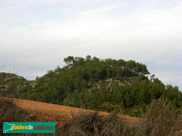 Pontils - El castell, de lluny