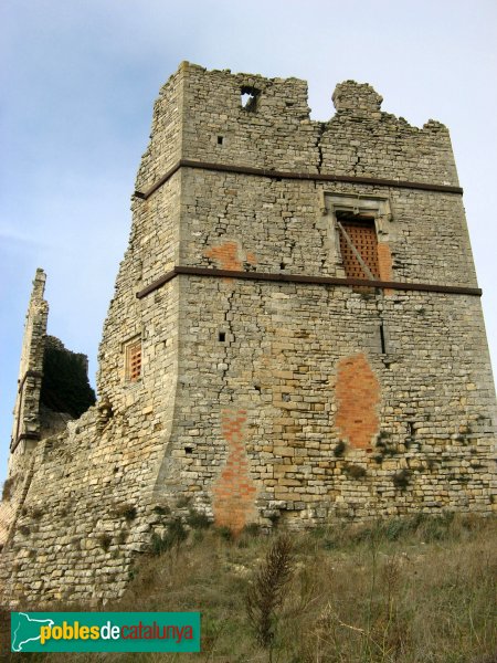 Savallà del Comtat - Castell dels comtes de Savallà