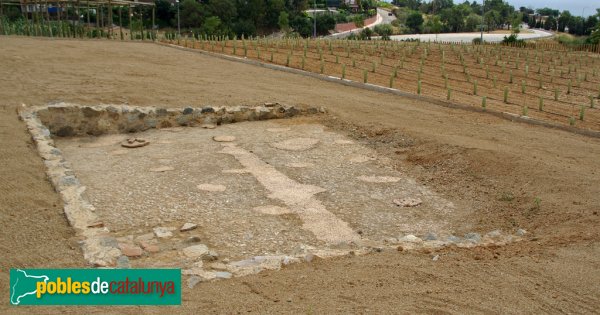 Parc Cella Vinaria de Teià - Calcatòrium