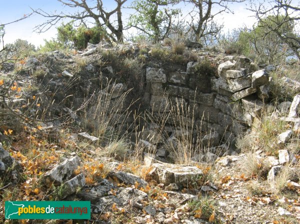 Ruïnes del castell de Savella