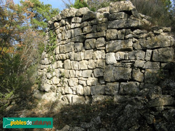Conesa - Castell de Savella (Foto: Albert Esteves, 2009) Conesa - Castell de Savella
