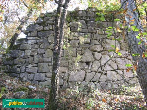 Conesa - Castell de Savella (Foto: Albert Esteves, 2009) Conesa - Castell de Savella