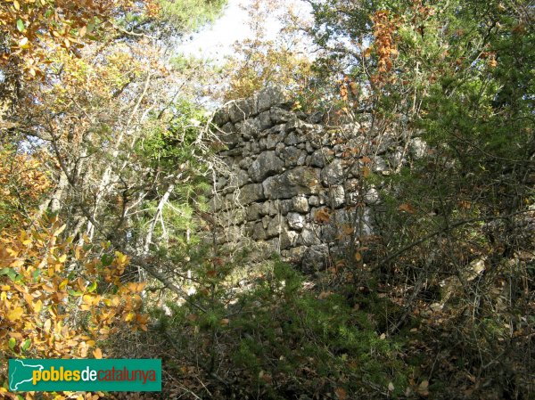 Conesa - Castell de Savella (Foto: Albert Esteves, 2009) Conesa - Castell de Savella