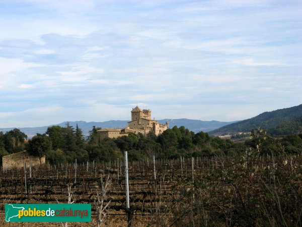 Vimbodí - Granja-castell de Riudabella (Foto: Albert Esteves, 2009) Vimbodí - Granja-castell de Riudabella