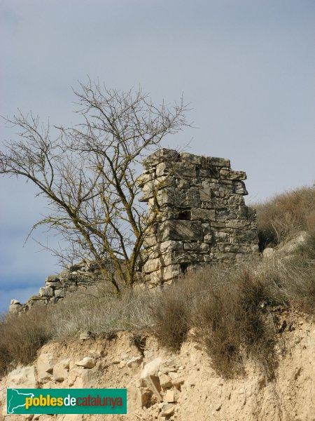 Llorac - Restes del castell d'Albió (Foto: Albert Esteves, 2010) Llorac - Restes del castell d'Albió
