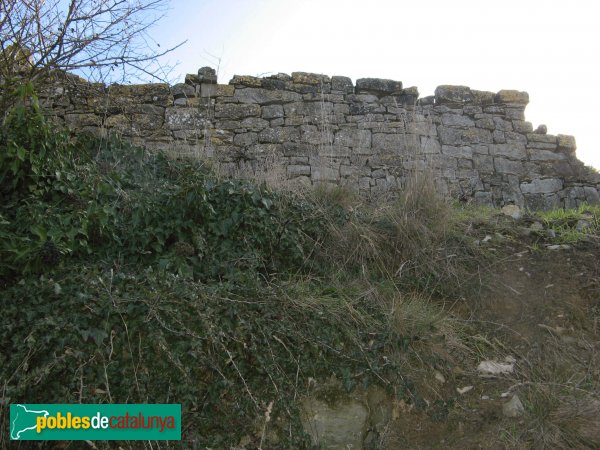 Llorac - Restes del castell d'Albió (Foto: Albert Esteves, 2010) Llorac - Restes del castell d'Albió